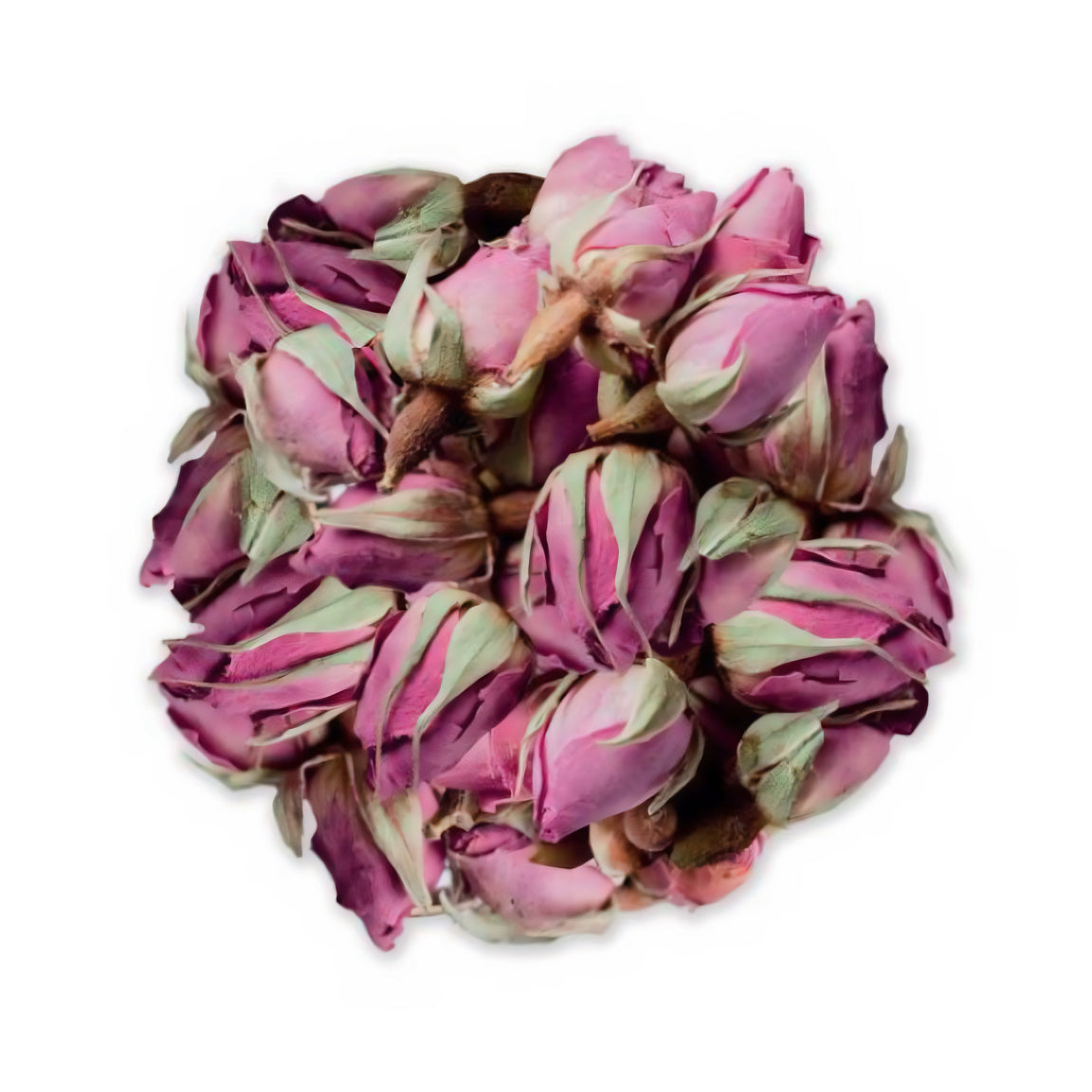 Persian Rose