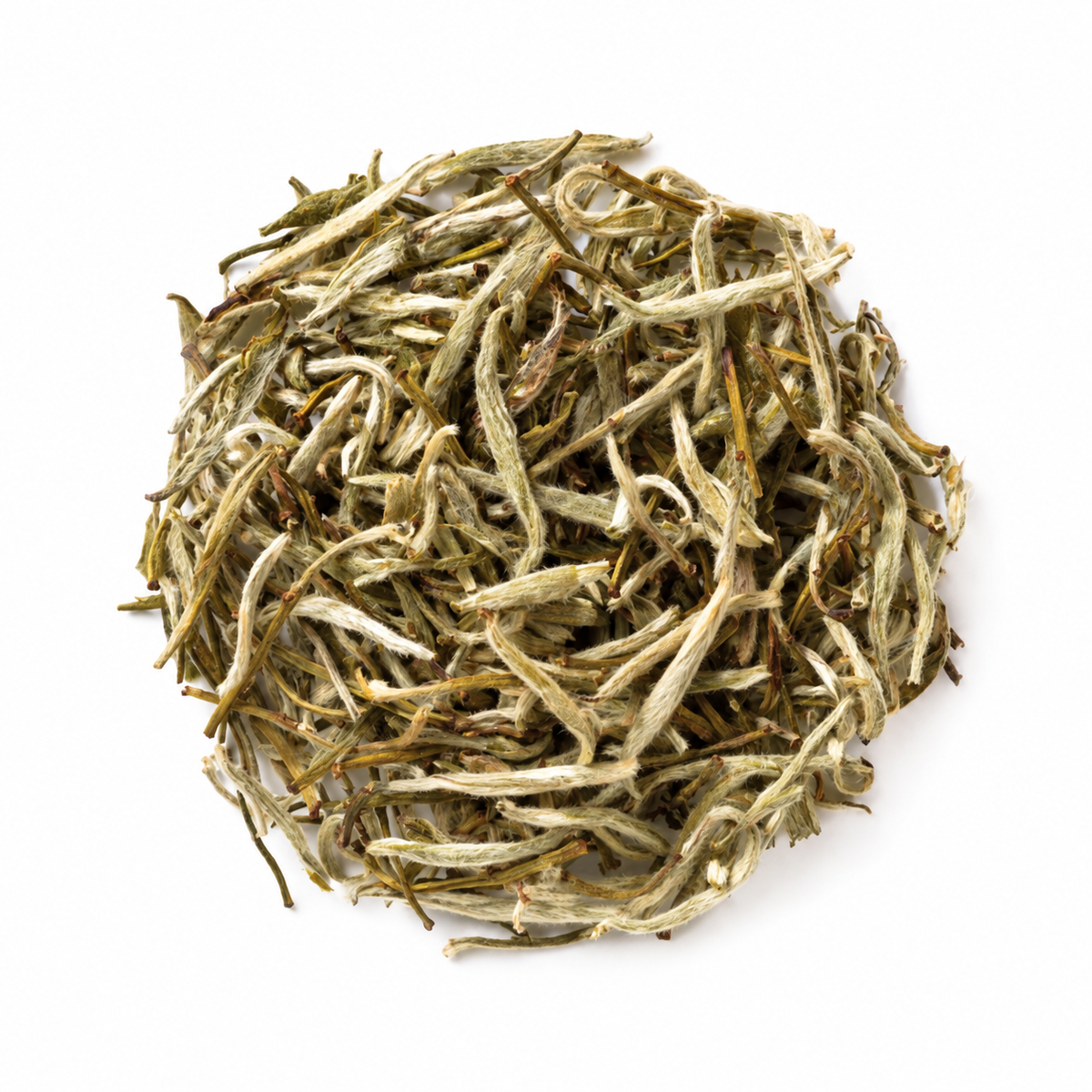 Silver Needle white tea — dry leaves.
